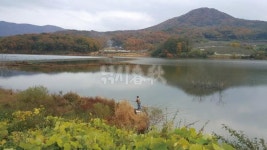  낚시춘추, 내고장 유망낚시터_충북-영동 추풍령지