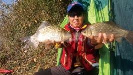  낚시춘추, 전남_영암 구산지-월척부터 4짜급 체구