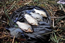  낚시춘추, 전남_영암 구산지-월척부터 4짜급 체구