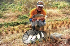  낚시춘추, 전남_영암 구산지-월척부터 4짜급 체구