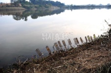  낚시춘추, 전남_영암 구산지-월척부터 4짜급 체구