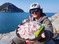  낚시춘추, 제주_추자도-어디로 튈지 모르는 초등감성돔의 명암