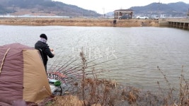  낚시춘추, 전남_해남 화산천-관동방조제 상류, 미답의 붕어터