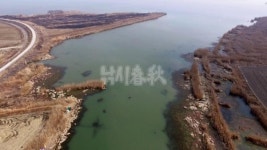  낚시춘추, 전남_무안 의산리수로-‘구정리 2번 수로’로 불리지만 구정리수로보다 낫다