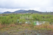  낚시춘추, 경기_여주 이포보-기라성 같은 남한강 명포인트 속에서 캠핑장 앞 샛수로 두각