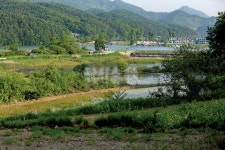  낚시춘추, 강원_춘천 박암리 둠벙-추억의 강촌마을 그 풍경, 붕어 그대로