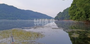  낚시춘추, 경북_김천 광덕지-7일째 밤 첫 입질 받아 49cm