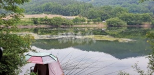  낚시춘추, 경북_김천 광덕지-7일째 밤 첫 입질 받아 49cm