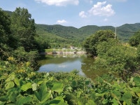  낚시춘추, 경남_의령 산북지-다슬기 먹고 큰 장사붕어들 보소