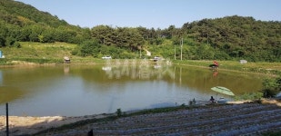  낚시춘추, 경남_진주 대우소류지-물 다 빼고 고기 다 잡아냈다더니…