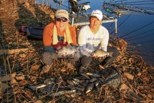  낚시춘추, 전남_고흥 내대지-블루길 극복 토착어종의 승리 마릿수터로 돌아왔다