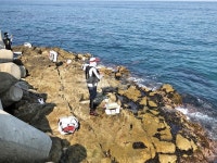  낚시춘추, 경북_울진 현내 갯바위-큰 벵에돔 원한다면 방파제보다 갯바위!