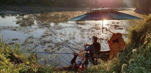  낚시춘추, 충북_진천 초평천-초평지에 가린 비밀 월척터