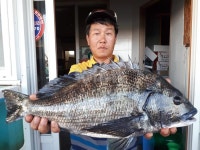 죽변낚시 자판기 | 낚시춘추, 대어-울진 죽변방파제 원투낚시에 56cm 감성돔