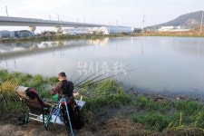  낚시춘추, 전북_김제 덕로지-KTX 멈춘 새벽에 어신이 찾아오리라