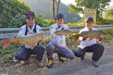  낚시춘추, 경남_의령 덕암지-초저녁 잉어 소동에 붕어는 침묵