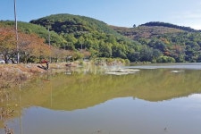  낚시춘추, 경남_의령 덕암지-초저녁 잉어 소동에 붕어는 침묵