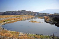  낚시춘추, 충남_보령 진죽둠벙-첫 공개!  보령방조제 옆 대규모 둠벙촌