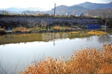  낚시춘추, 충남_보령 진죽둠벙-첫 공개!  보령방조제 옆 대규모 둠벙촌