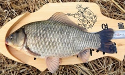  낚시춘추, 연재_낙동강순례 (39)-칠곡천 최하류의 겨울붕어터 창녕함안보 고곡수로