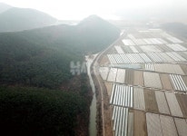  낚시춘추, 연재_낙동강순례 (39)-칠곡천 최하류의 겨울붕어터 창녕함안보 고곡수로