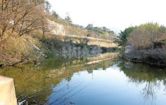 연재_신동현의 낙동강 순례 43-산란철 4짜터, 밀양강 샛수로 밀양 사포수로