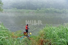 공주 용성천, 마릿수 대폭발