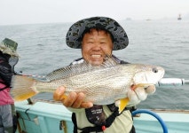 충남 서천_ 여름 바다의 왕자,보구치 컴백