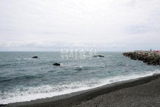 경북 경주_경주 지경부터 감포까지 SEABASS SEABASS 25