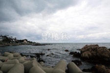 경북 경주_경주 지경부터 감포까지 SEABASS SEABASS 25