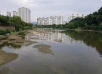 연재_김범철 교수의 호수의 과학 51-저수지의 퇴사  토사가 쌓이면 물고기도 사라진다