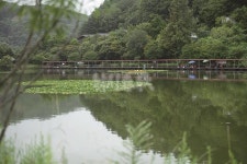 강원도 춘천_ 박암리 어촌계가 운영하는 유료터 청평호 강촌낚시터
