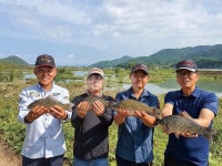전남 광주 황룡강_풍월가든 앞에선 허리급이 턱걸이라고?