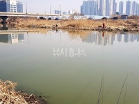 1월의 유망 붕어낚시터_경기 고양 이산포수로 한국지역난방공사 앞은 겨울에도 결빙 안 돼