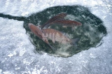 강원 철원 대마리둠벙_얼음 붕어 만나러 가는 길