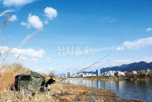 부산 삼락수로-도심의 월척 붕어터 올 겨울은 삼락강변교다