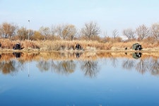 부산 삼락수로-도심의 월척 붕어터 올 겨울은 삼락강변교다