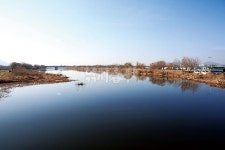 부산 삼락수로-도심의 월척 붕어터 올 겨울은 삼락강변교다