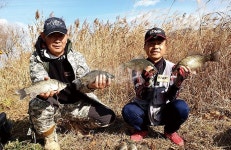 부산 삼락수로-도심의 월척 붕어터 올 겨울은 삼락강변교다