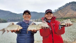 전남 고흥 매곡지_ 겨울에 대박 터지는 계곡지가 있다? 없다?