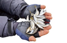 전남 고흥 매곡지_ 겨울에 대박 터지는 계곡지가 있다? 없다?