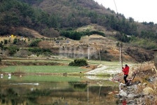 전남 고흥 매곡지_ 겨울에 대박 터지는 계곡지가 있다? 없다?