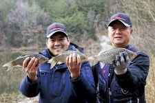 전남 고흥 매곡지_ 겨울에 대박 터지는 계곡지가 있다? 없다?
