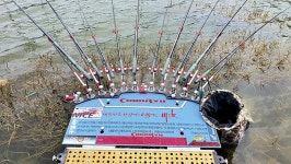 전남 고흥 매곡지_ 겨울에 대박 터지는 계곡지가 있다? 없다?