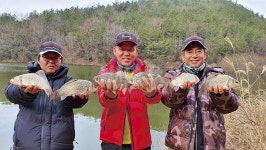 전남 고흥 매곡지_ 겨울에 대박 터지는 계곡지가 있다? 없다?