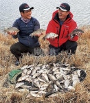 전남 고흥 매곡지_ 겨울에 대박 터지는 계곡지가 있다? 없다?