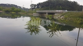3월의 유망 붕어낚시터_전북 고창 신림지