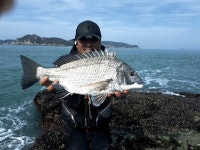 제주 추자도_ 영등 감성돔 밖미역섬 다이아몬드에서 심봤다