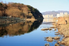 경북 경산 대창천_맑은 물색 아랑곳 않은 월척들 난립