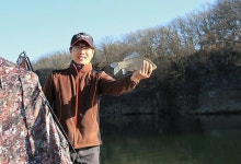 경북 경산 대창천_맑은 물색 아랑곳 않은 월척들 난립